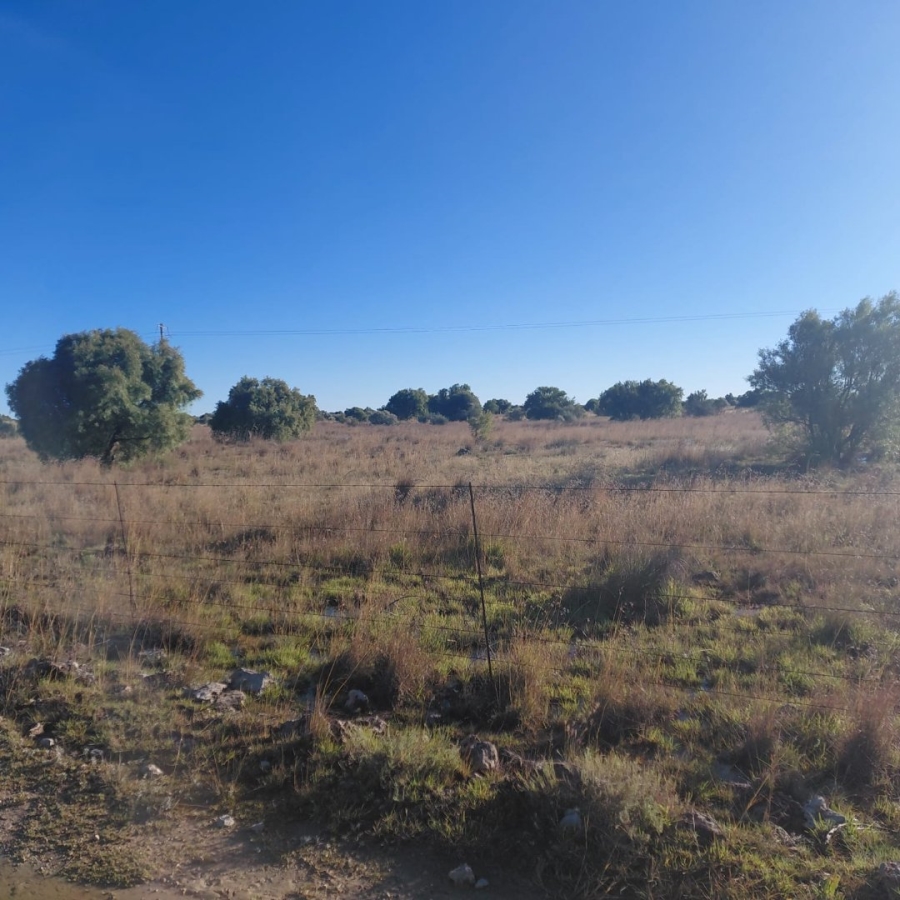Commercial Property for Sale in Barkly West Rural Northern Cape